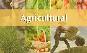 Buyer of Agricultural Products